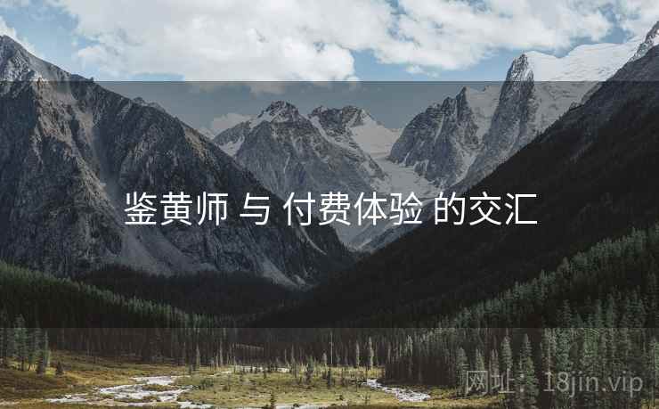 鉴黄师 与 付费体验 的交汇  第1张