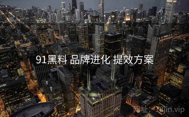91黑料 品牌进化 提效方案  第2张
