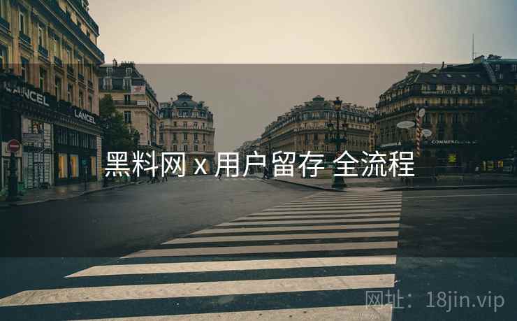 黑料网 x 用户留存 全流程  第1张