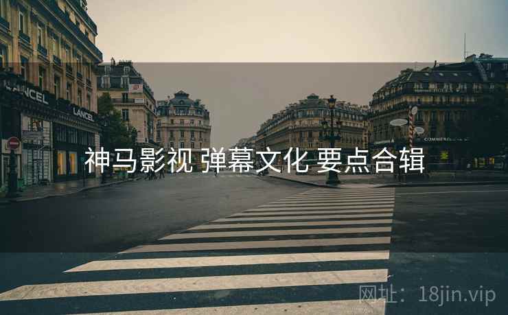 神马影视 弹幕文化 要点合辑  第2张