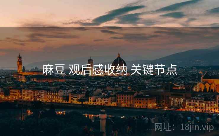 麻豆 观后感收纳 关键节点  第1张