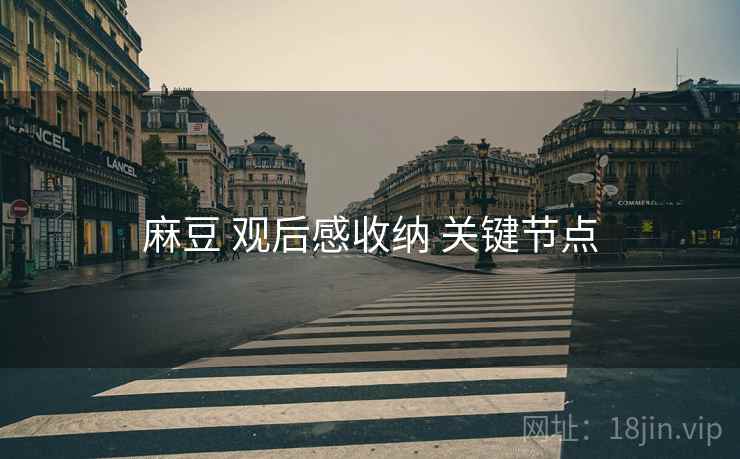 麻豆 观后感收纳 关键节点  第2张
