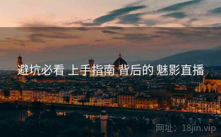 避坑必看 上手指南 背后的 魅影直播  第2张