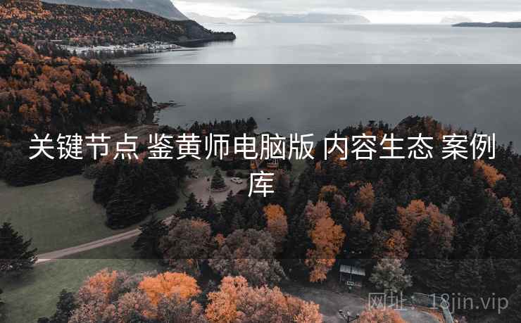 关键节点 鉴黄师电脑版 内容生态 案例库  第2张