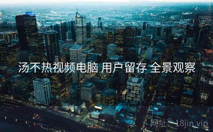 汤不热视频电脑 用户留存 全景观察  第2张