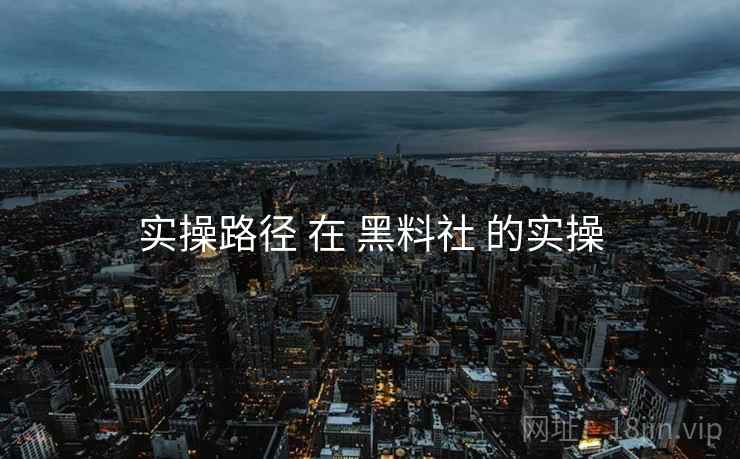 实操路径 在 黑料社 的实操  第2张