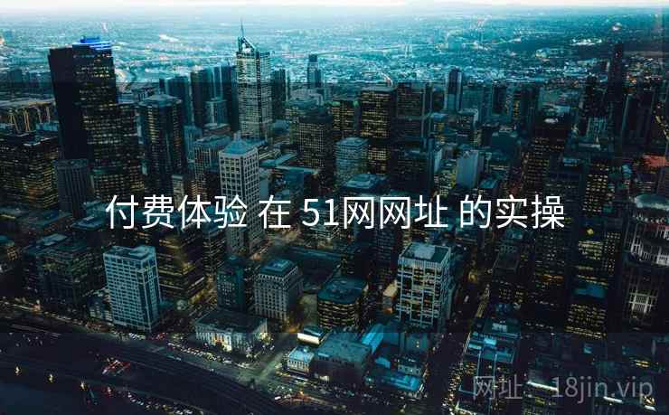 付费体验 在 51网网址 的实操  第2张