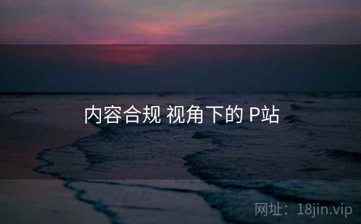 内容合规 视角下的 P站  第2张