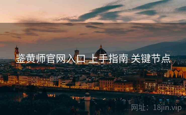 鉴黄师官网入口 上手指南 关键节点  第2张