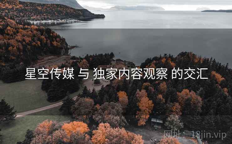 星空传媒 与 独家内容观察 的交汇  第1张