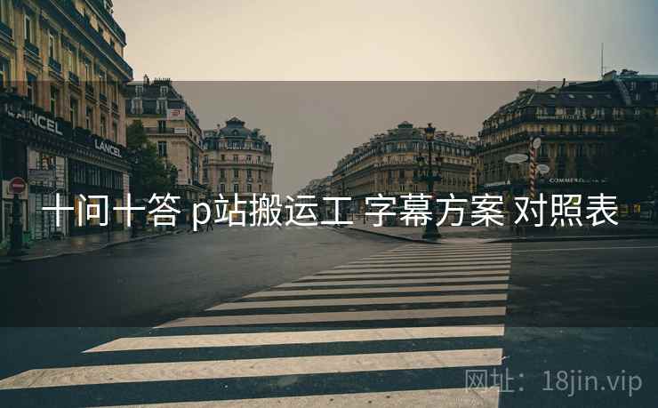 十问十答 p站搬运工 字幕方案 对照表  第2张