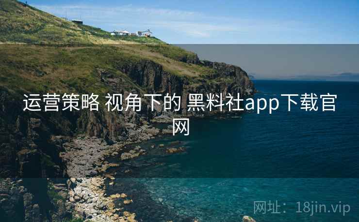 运营策略 视角下的 黑料社app下载官网  第1张