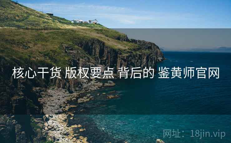 核心干货 版权要点 背后的 鉴黄师官网  第2张